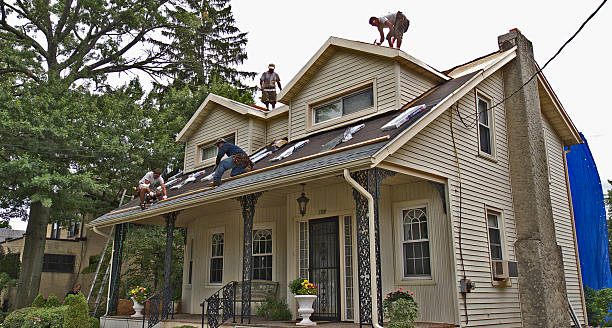 Best Roof Gutter Cleaning  in Olmos Park, TX